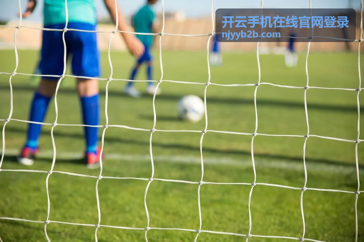开云手机在线官网登录在移动端不同网络环境下的验证界面
